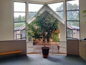 View from Classroom Hallway